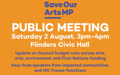 Public Meeting on Council Budget Cuts